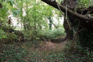 Photo 16- click for photo gallery